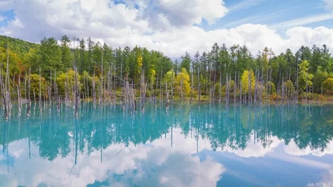 4K resolution time lapse of Shirogane blue pond in Biei town, Hokkaido Stock Footage 121812141