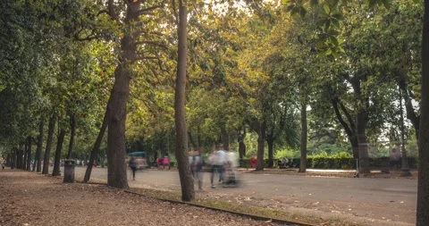 4k resolution time-lapse view of people walking in the park. Stock Footage 242829004