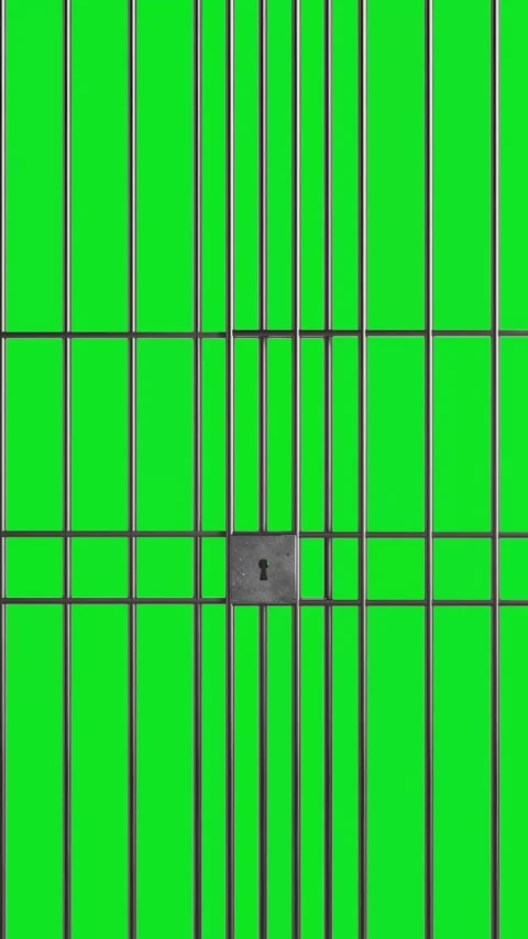 4k Resolution Vertical Video for Social Media: Security Concept. Black Pris.. Stock Footage 317906929