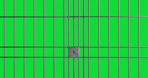 4k Resolution Video: Security Concept. Black Prison Jail Bars With Central .. Stock Footage 317906928