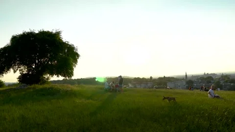 4k rest in the nature Stockbeeldmateriaal 137316503