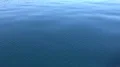 4k Rippled blue water surface close up shot from driving boat 4k or 4k+ Resolution