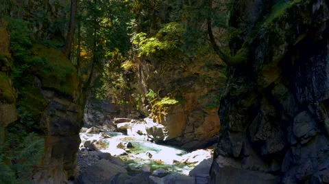 4K River Creek in Forest, Slow Stream Mountain Rock Landscape Stock Footage 67581168