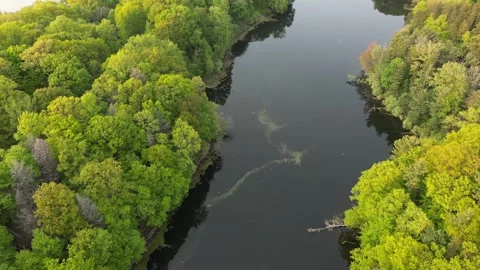 4K. The river flows through a dense green forest. Stock Footage 246646879