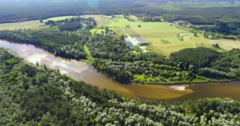 4K - River in the forest. Aerial view Video stock 54046175