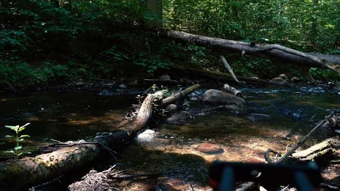 4k river in the forest Stock Footage 110304005