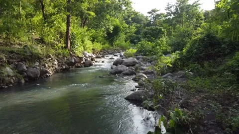4K river in forest footage video on top, High view angel video drone Video stock 237289846