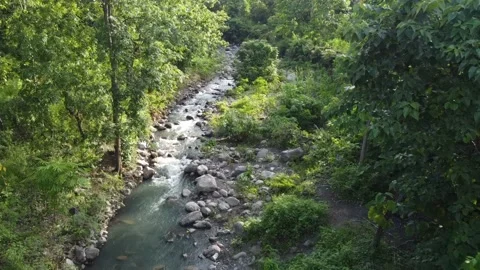 4K river in forest footage video on top, High view angel video drone Video stock 237290367