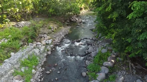 4K river in forest footage video on top, High view angel video drone Video stock 237291379