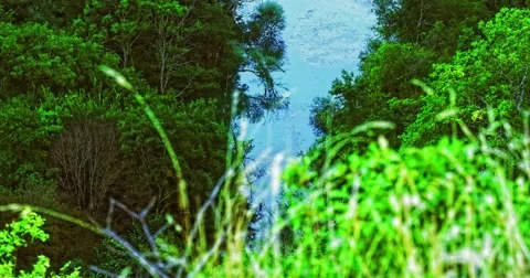 4K River Krka flow Stock Footage 45775814