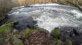 4K river slightly overflooded in autumn in sweden 4k or 4k+ Resolution