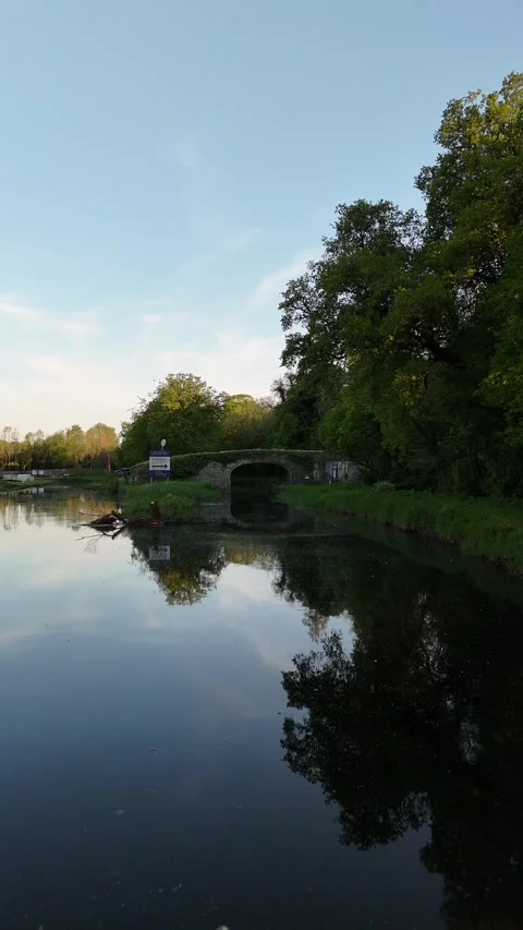 4K River View in Milford County Carlow Ireland Stock Footage 333932088