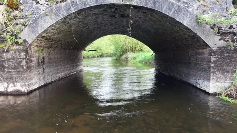 4K River View Under Stone Arch Bridge With Trees Stock Footage 334231399