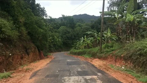 4k road jungle Stock Footage