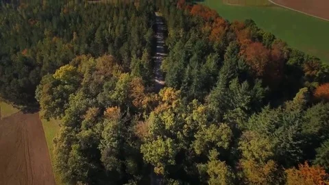 4K Road through the forest - cinematic drone shot Video stock 69167114