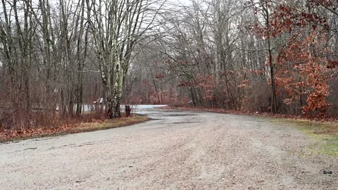 4K Road in Woods Stock Footage 167674404