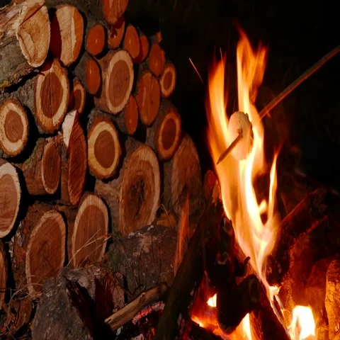 4K .Roasting Marshmallows At Camp Fire 库存影片 69699792