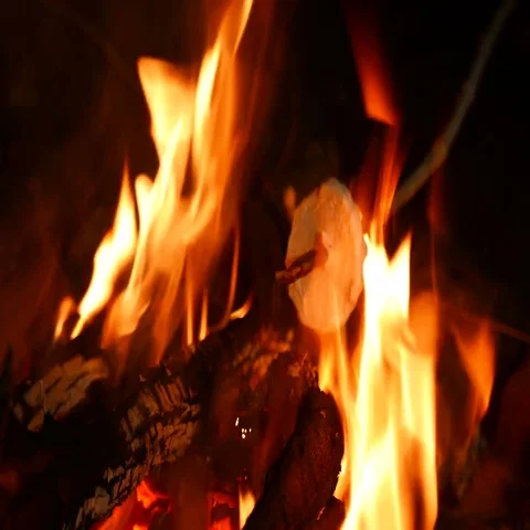 4K .Roasting Marshmallows At Camp Fire. Outdoor life Stockbeeldmateriaal 69699936
