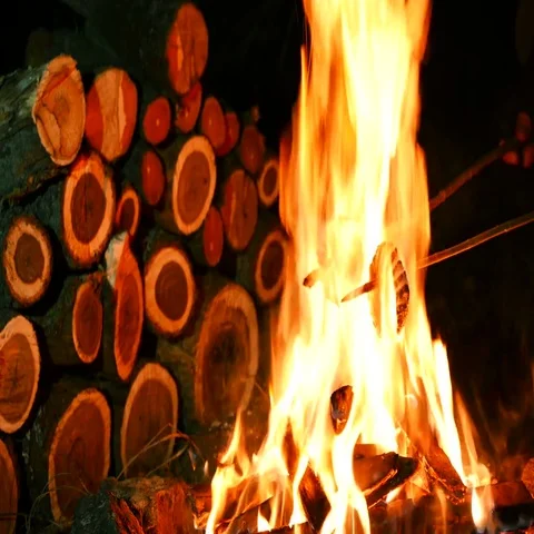 4K .Roasting two Marshmallows At Camp Fire Stockbeeldmateriaal 69699749