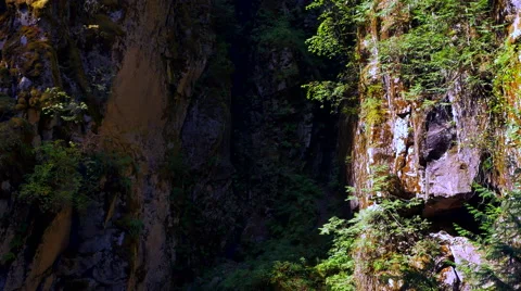 4K Rock Face Crevasse, Small Ferns and Dark Shadow, Stone Wall and Moss Stock Footage 67267553