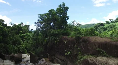 4K Rock Wall Rainforest Plants Stock Footage 63618149