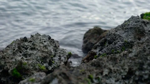 4k Rocky Shore Video stock 76138413