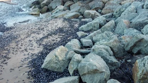 4k rockyshore Stock Footage 336511962