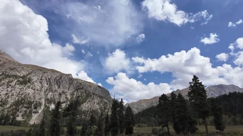 4K Rolling Hills, Towering Trees, and Lush Green Meadows Unite with a Majest Video stock 288002201