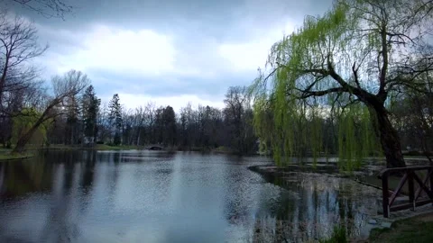 4k Romantic lake Stock Footage 272587247