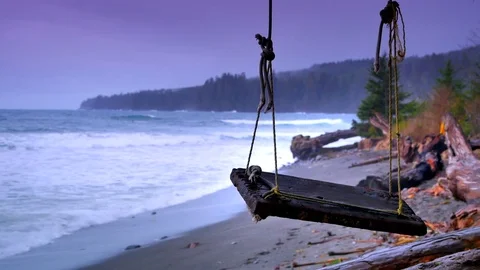 4K Rope Swing on Nature Beach, Trees and Waves and Surf Background Video stock 72336004
