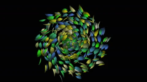 4k Rotating feathers fancy pattern. Stock Footage 49445349