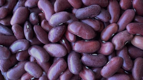 4k Rotating Haricot Bean Stock Footage 91539643