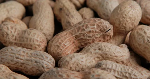 4k Rotation Inshell Peanuts Video stock 99812114