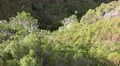 4k rough nature Rabacal mountain region Madeira tilt 4k or 4k+ Resolution