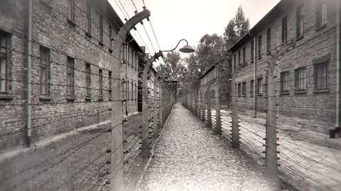 4K Rows of Barbed Wire Fence, Birkenau Death Camp, Auschwitz Poland Nazi Symbol Stock Footage 84716810