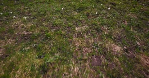 4K Run over spring meadow Stock Footage 78798675