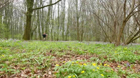 4K. Running Man hiker backpacker on  green spring forest Stockbeeldmateriaal 63429776