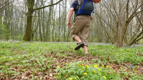 4K. Running Man hiker backpacker on  green spring forest Vídeo Stock 63429929