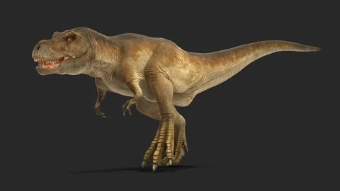 4k running tyranosaurus rex. 3d rendering. High quality 4k footage. Stock Footage 254473069