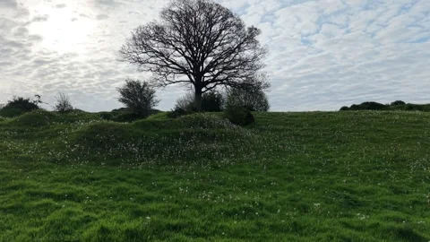 4K Rural Hill With Leafless Tree and Cloudy Sky Stockbeeldmateriaal 334231449