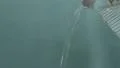 4K S-log 2 stream of water pouring from above against green screen background 4k or 4k+ Resolution