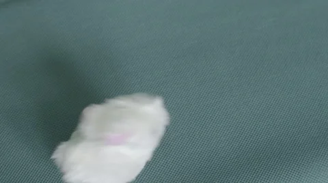 4K S-log 2 white mechanical bunny hops over green screen birds eye view Stock Footage 56724566