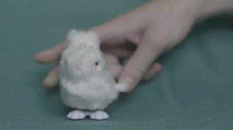 4K S-log 2 white mechanical bunny bounces toward the camera Stockbeeldmateriaal 56724645