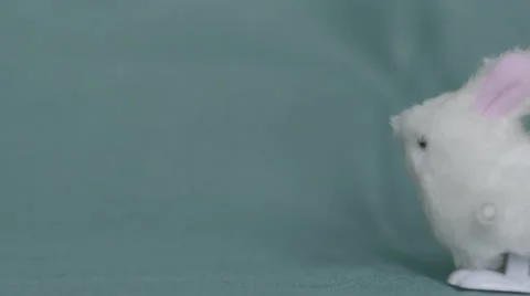 4K S-log2 white toy bunny hops in front of green screen Stockbeeldmateriaal 56724618