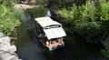 4k Safari boat brings visitors to natural animal preserve 4k or 4k+ Resolution