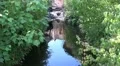 4k Safari park visitors on safari boat tour 4k or 4k+ Resolution