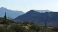 4K Saguaro Cactus 13 Sonoran Desert Arizona 4k or 4k+ Resolution