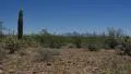 4K Saguaro Cactus Dolly 06 Sonoran Desert Arizona 4k or 4k+ Resolution