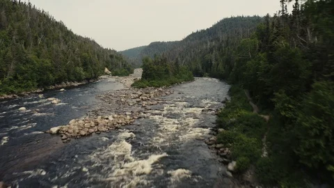 4K Salmon river going upstream - Drone flying seq 005/005 Stock Footage