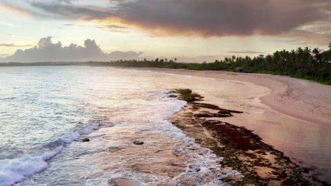 4K  sandy beach surrounded with palm trees near Tangalle, Sri Lanka. Stock-Footage 168775570